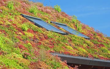 Dowbridge living roof systems