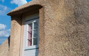 Dowbridge thatch roof disadvantages