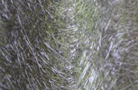 Dowbridge fibreglass roof work